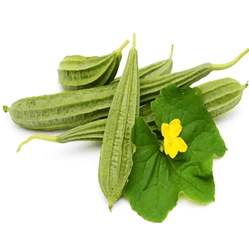 Jhinga- Ridge Gourd thumbnail 1